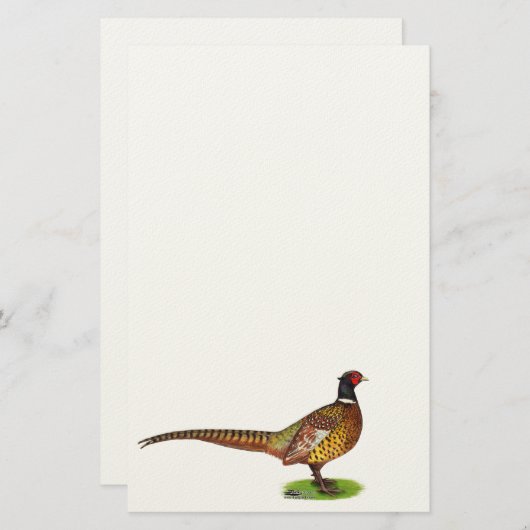 Ringnek Pheasant Rooster Briefpapier (Voorkant / Achterkant)