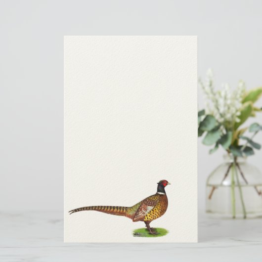 Ringnek Pheasant Rooster Briefpapier (Staand voorkant)