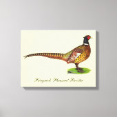 Ringnek Pheasant Rooster Canvas Afdruk (Voorkant)
