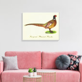 Ringnek Pheasant Rooster Canvas Afdruk (Insitu (Woonkamer))