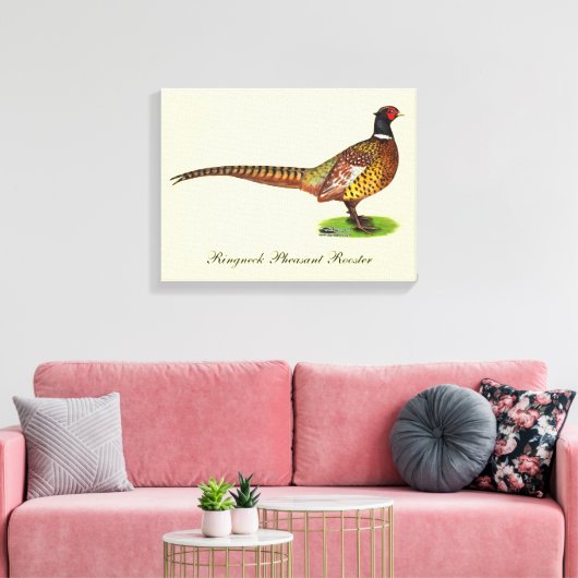 Ringnek Pheasant Rooster Canvas Afdruk (Insitu (Woonkamer))