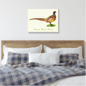 Ringnek Pheasant Rooster Canvas Afdruk (Insitu (Slaapkamer))