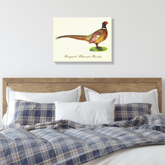 Ringnek Pheasant Rooster Canvas Afdruk (Insitu (Slaapkamer))