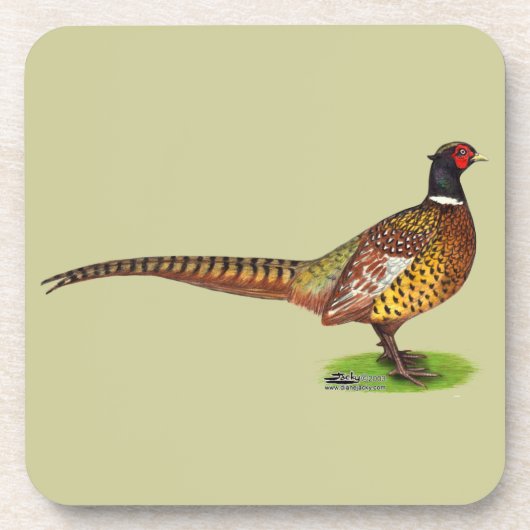 Ringnek Pheasant Rooster Drankjes Onderzetter (Voorkant)