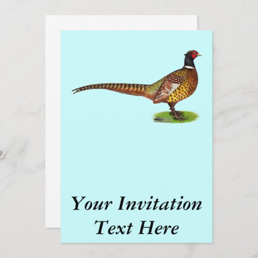 Ringnek Pheasant Rooster Kaart (Voorkant / Achterkant)