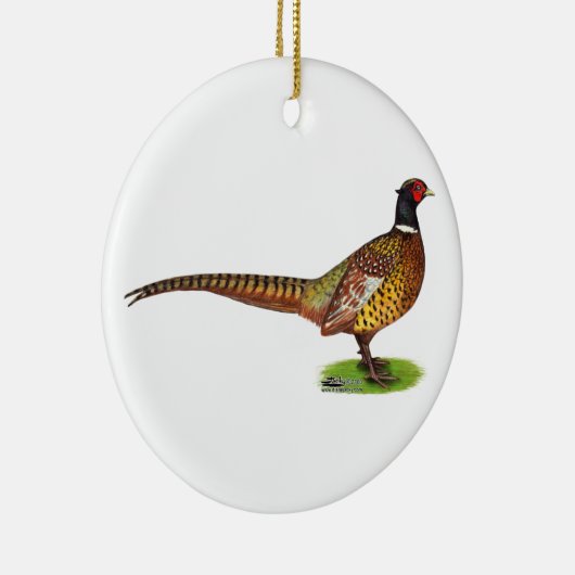Ringnek Pheasant Rooster Keramisch Ornament (Rechts)