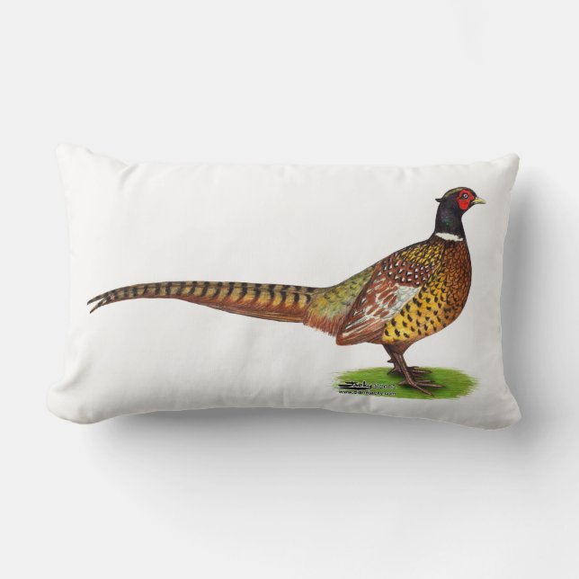 Ringnek Pheasant Rooster Kussen (Voorkant)