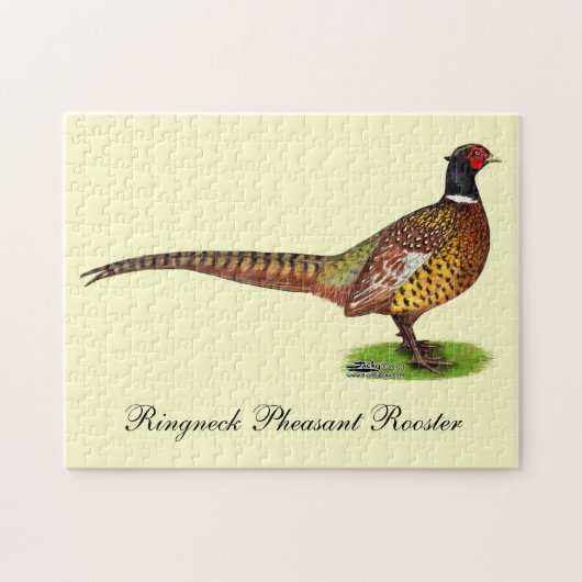 Ringnek Pheasant Rooster Legpuzzel (Horizontaal)