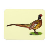 Ringnek Pheasant Rooster Magneet (Horizontaal)