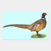 Ringnek Pheasant Rooster Rechthoekige Sticker (Voorkant)