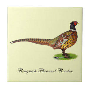 Ringnek Pheasant Rooster Tegeltje
