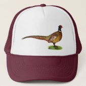 Ringnek Pheasant Rooster Trucker Pet (Voorkant)