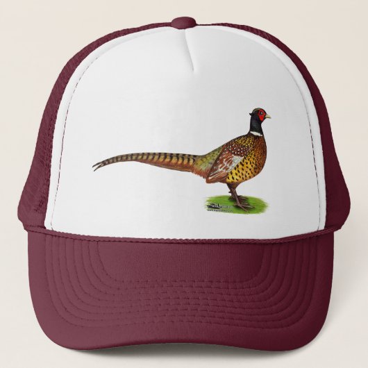 Ringnek Pheasant Rooster Trucker Pet (Voorkant)
