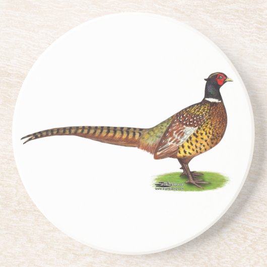 Ringnek Pheasant Rooster Zandsteen Onderzetter (Voorkant)