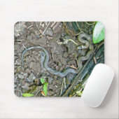 Ringnek Snake Mousepad Muismat (Met muis)