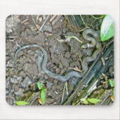 Ringnek Snake Mousepad Muismat (Voorkant)