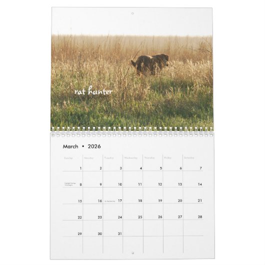 Ringo de Kalender van het Chocolate Laboratorium (Mar 2026)