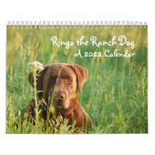 Ringo de Kalender van het Chocolate Laboratorium (Hoes)