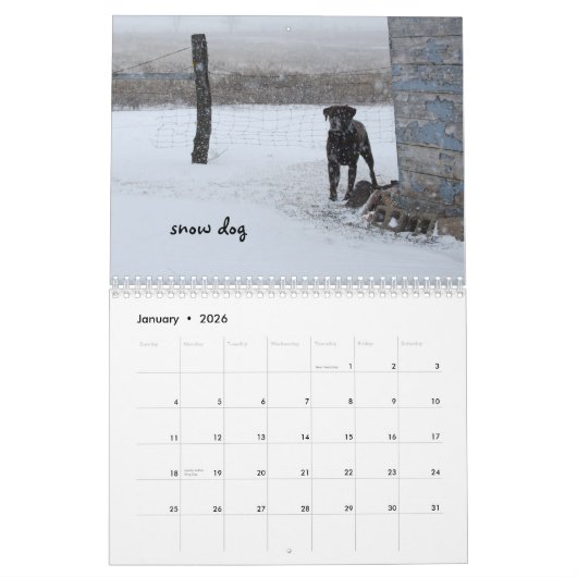 Ringo de Kalender van het Chocolate Laboratorium (Jan 2026)