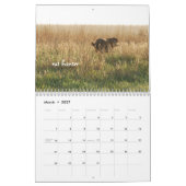 Ringo de Kalender van het Chocolate Laboratorium (Mar 2027)