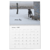 Ringo de Kalender van het Chocolate Laboratorium (Jan 2027)