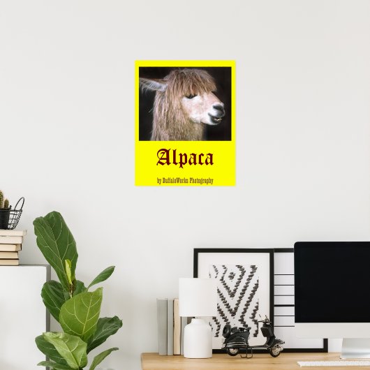 Ringo het Poster van Alpaca (Thuiskantoor)