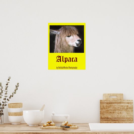 Ringo het Poster van Alpaca (Keuken)