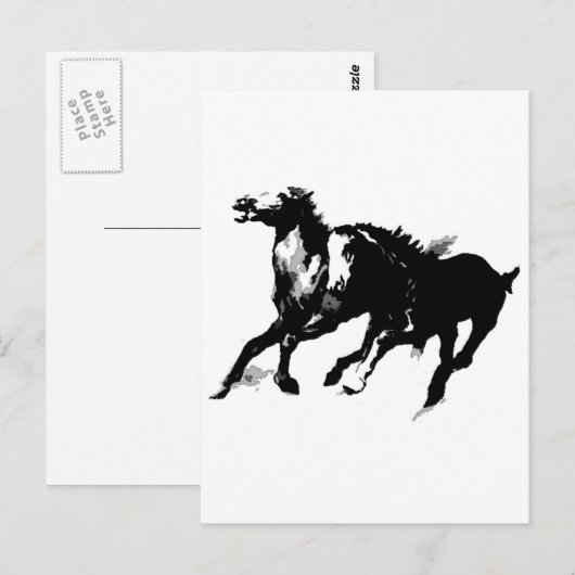 Ringpaarden Briefkaart (Voorkant / Achterkant)