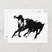 Ringpaarden Briefkaart (Voorkant / Achterkant)