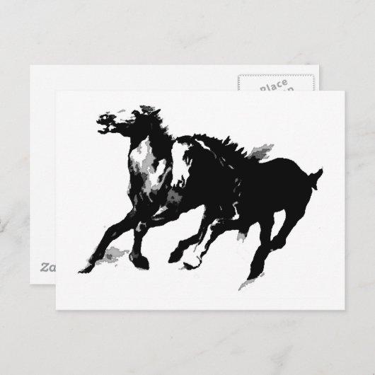 Ringpaarden Briefkaart (Voorkant / Achterkant)