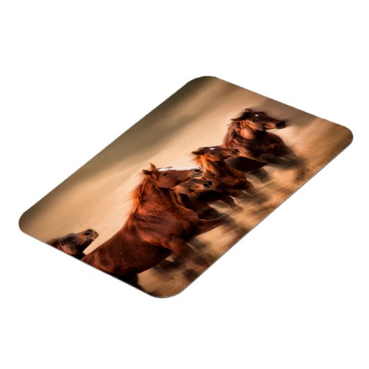 Ringpaarden Magneet (Linkerzijde)