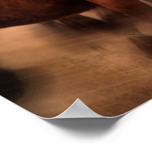 Ringpaarden Poster (Hoek)