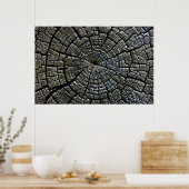 Rings Aztec Ruins Monument Poster (Keuken)