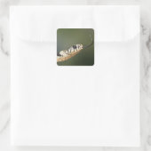 Ringslang Vierkante Sticker (Tas)
