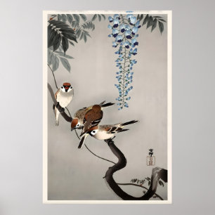 Ringspreeuwen bij Wisteria Japanse Fijne Kunstprin Poster