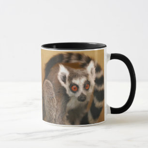 Ringstaart Lemur 2-panel 2-tone Mok