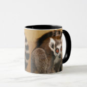 Ringstaart Lemur 2-panel 2-tone Mok (Voorkant rechts)