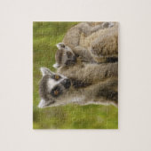 Ringstaartcitroenen (Lemur catta) Moeder en baby. Legpuzzel (Verticaal)