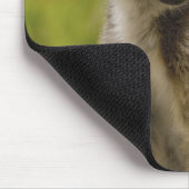 Ringstaartcitroenen (Lemur catta) Moeder en baby. Muismat (Hoek)