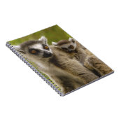 Ringstaartcitroenen (Lemur catta) Moeder en baby. Notitieboek (Rechterzijde)