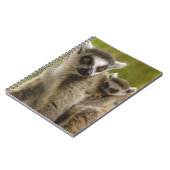 Ringstaartcitroenen (Lemur catta) Moeder en baby. Notitieboek (Linkerzijde)
