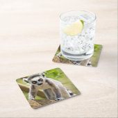 Ringstaartcitroenstaart Kartonnen Onderzetters (Insitu)