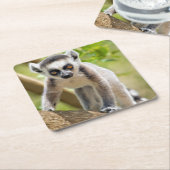 Ringstaartcitroenstaart Kartonnen Onderzetters (Schuin)