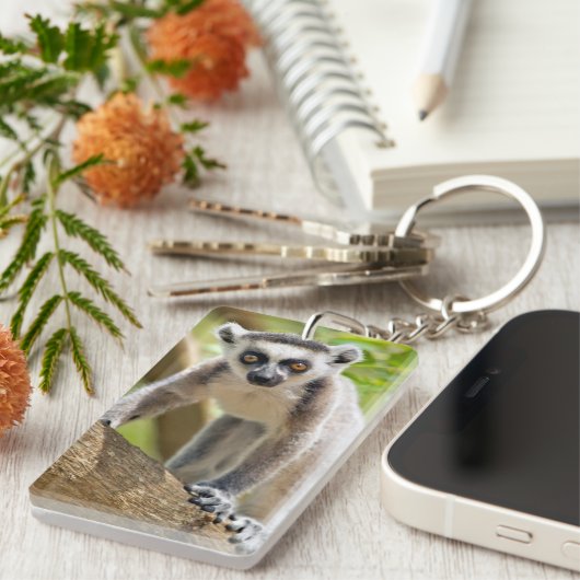 Ringstaartcitroenstaart Sleutelhanger (Voorkant Rechts)