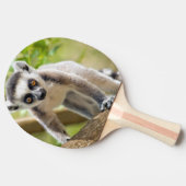 Ringstaartcitroenstaart Tafeltennisbatje (Zijkant)