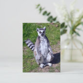 Ringstaartcitroenzetmeel op gras briefkaart (Staand voorkant)