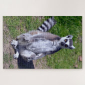 Ringstaartcitroenzuur op briefkaart T-Shir Legpuzzel (Horizontaal)