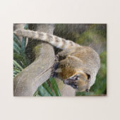 Ringstaartcoati op bijkantoor legpuzzel (Horizontaal)