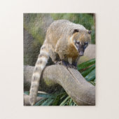 Ringstaartcoati op bijkantoor legpuzzel (Verticaal)
