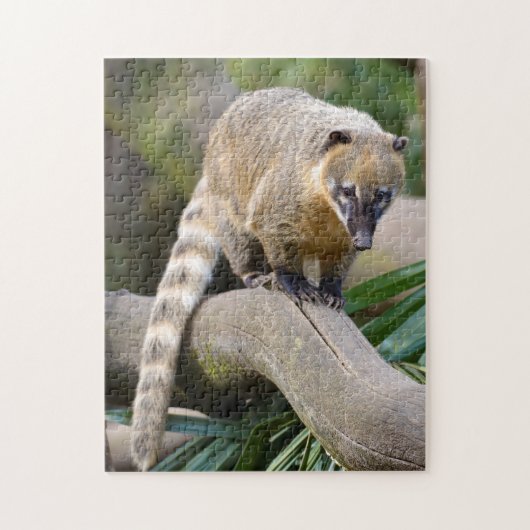 Ringstaartcoati op bijkantoor legpuzzel (Verticaal)